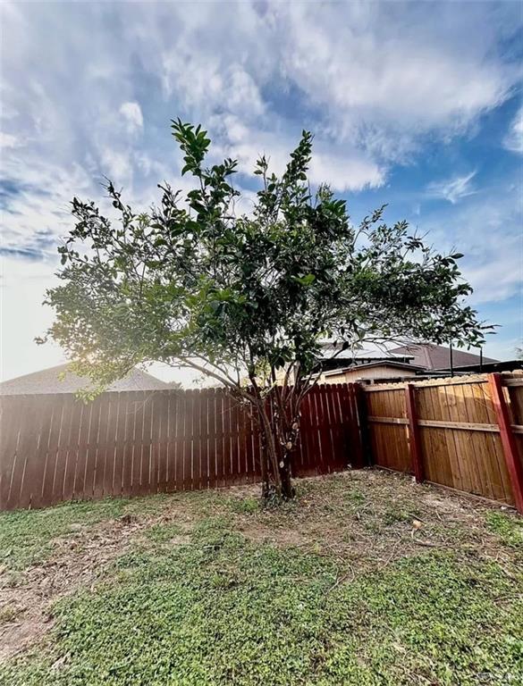 Photo 6 of 317 Whitewing Drive