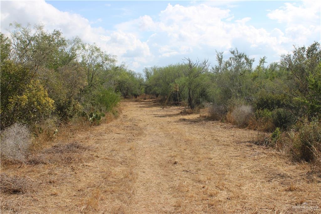 Photo 20 of 0 FM 339 Highway
