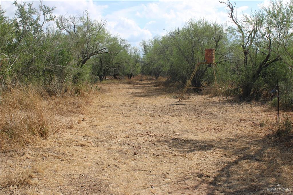 Photo 3 of 0 FM 339 Highway