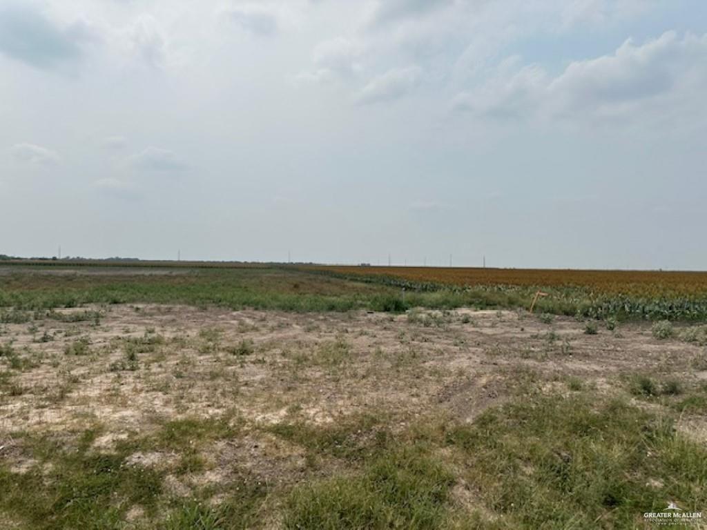 Photo 1 of lot 8 Briggs Cloeman Briggs Coleman Road, Harlingen