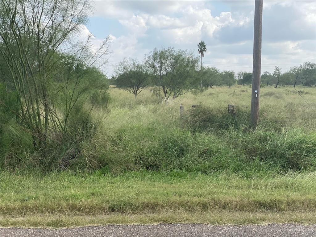 Photo 5 of 00 Bentsen Palm Drive