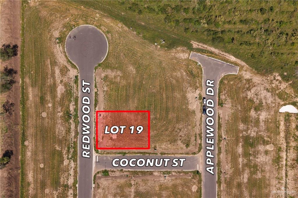 Photo 1 of 19 Coconut Street, Weslaco