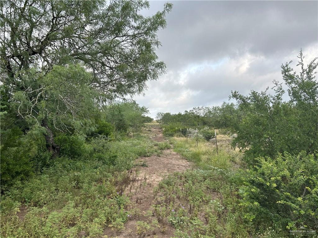 Photo 7 of 000 County Road 173